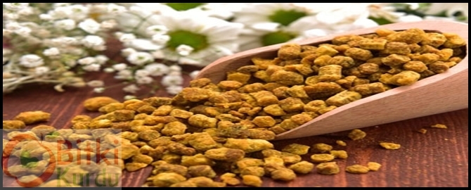 Arı ekmeği kansere ve kısırlığa birebir
